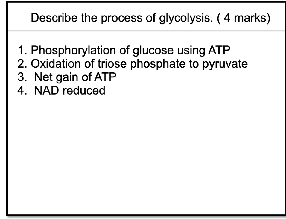 AQA A-LEVEL BIOLOGY - ANKI FLASHCARDS - THE ULTIMATE GUIDE TO AN A*