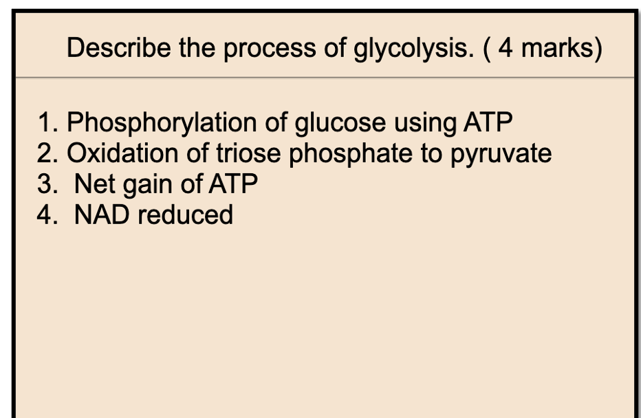 AQA A-LEVEL BIOLOGY - ANKI FLASHCARDS - THE ULTIMATE GUIDE TO AN A*