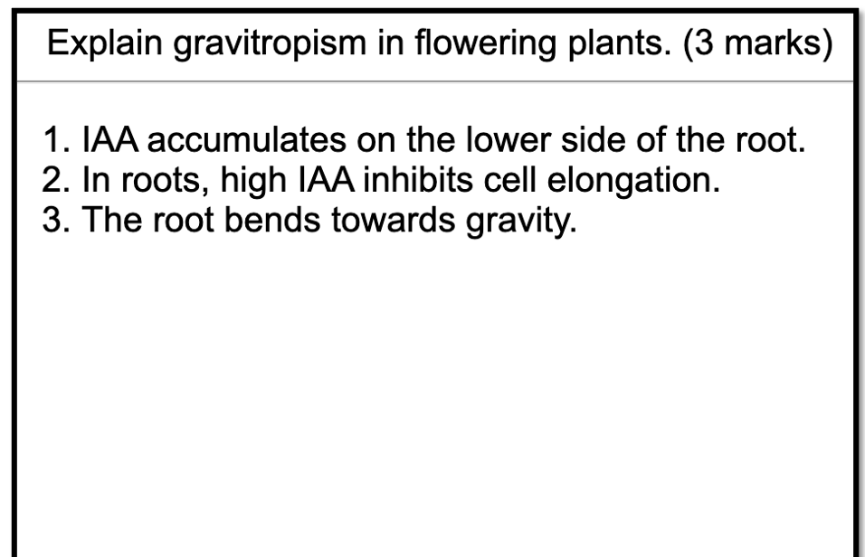 AQA A-LEVEL BIOLOGY - ANKI FLASHCARDS - THE ULTIMATE GUIDE TO AN A*